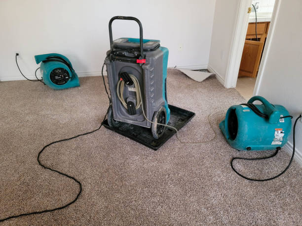 Best Water damage restoration cost  in Braidwood, IL