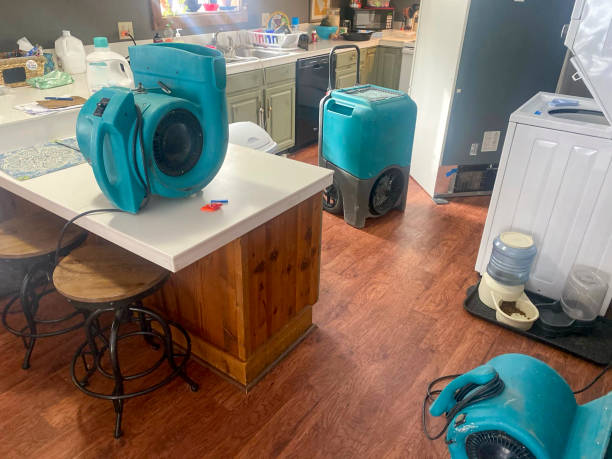 Best Commercial water damage restoration  in Braidwood, IL