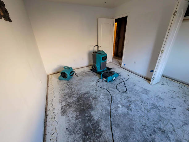 Best 24-hour water damage restoration  in Braidwood, IL