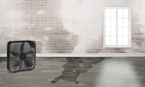 Best Residential water damage restoration  in Braidwood, IL