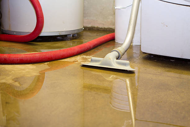 Best Flooded house restoration  in Braidwood, IL