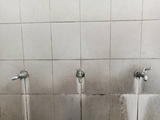 Best Emergency water damage restoration  in Braidwood, IL