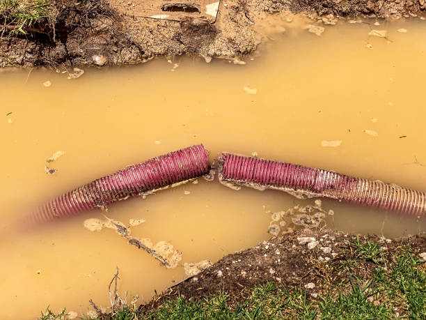 Best Emergency water damage restoration  in Braidwood, IL